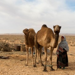 شمال أفريقيا _ North Africa