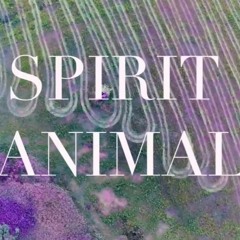 "Spirit Animal" Original Score