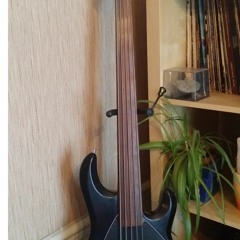 Stingray 5  Fretless 1988