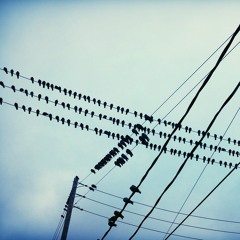 I Fall In Love Too Easily