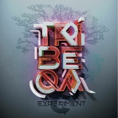 TribeQa - Never Stop (premier extrait)