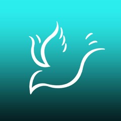 Proyecto J | Ten Fe (MTF)