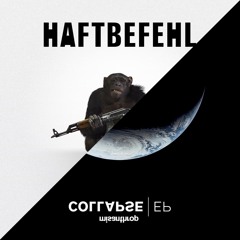 Haftbefehl vs. Misanthrop - Kollaps Im Zoo (Kolt Siewerts Drum&Bass Mashup)