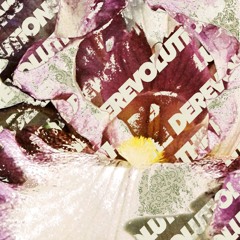 the derevolutions - Purple, Gold & White