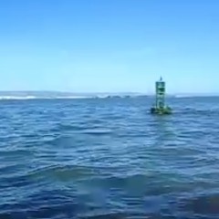 BELLS AT SEA