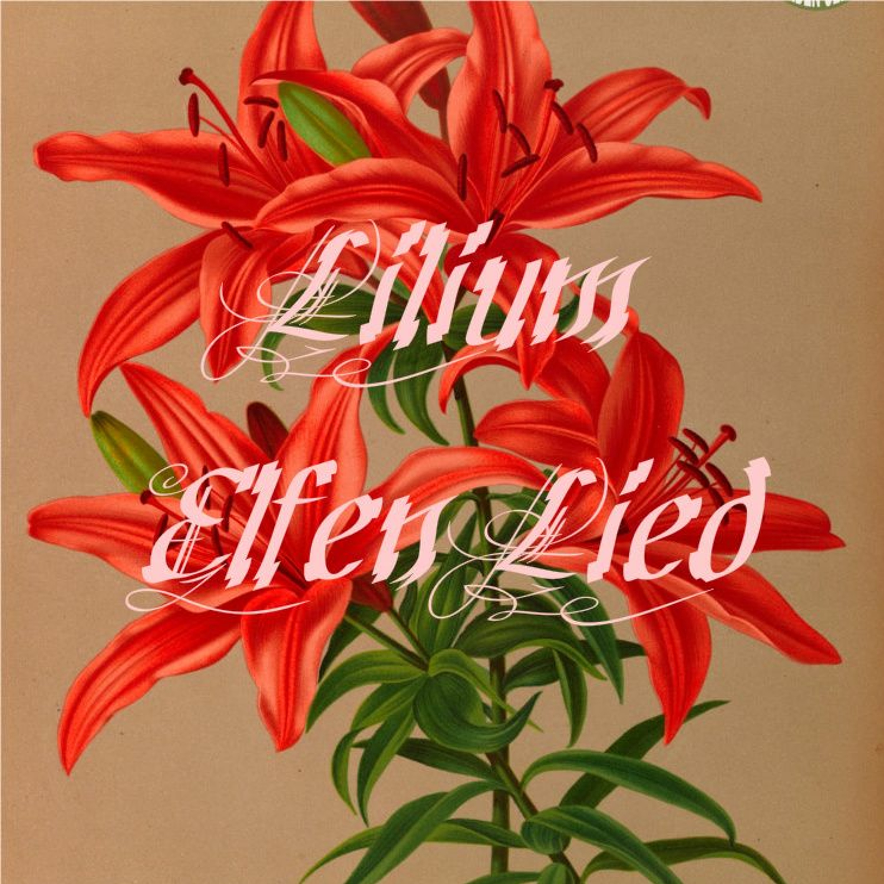 Lilium - Elfen Lied episode artwork