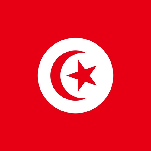 Civilization V - Tunisian Declaration of War