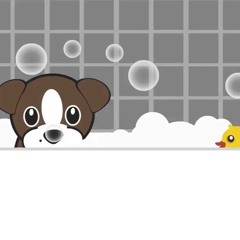 ShamPuppies Radio Commercial/Jingle