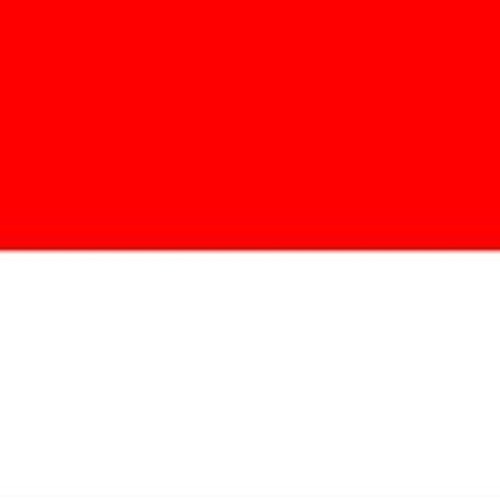 Civilization V - Indonesian Declaration of War