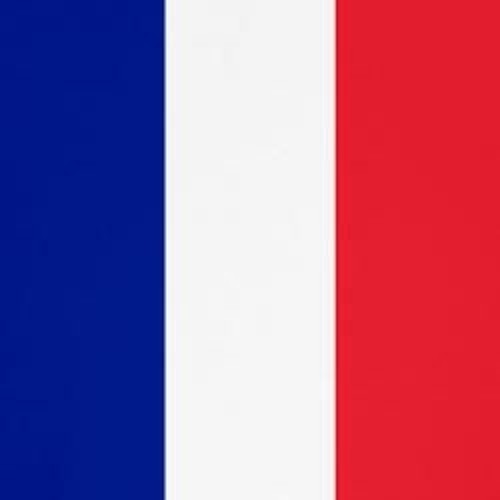 Civilization V - French Declaration of War