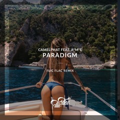 CamelPhat ft. A*M*E  - Paradigm /// FlicFlac Remix