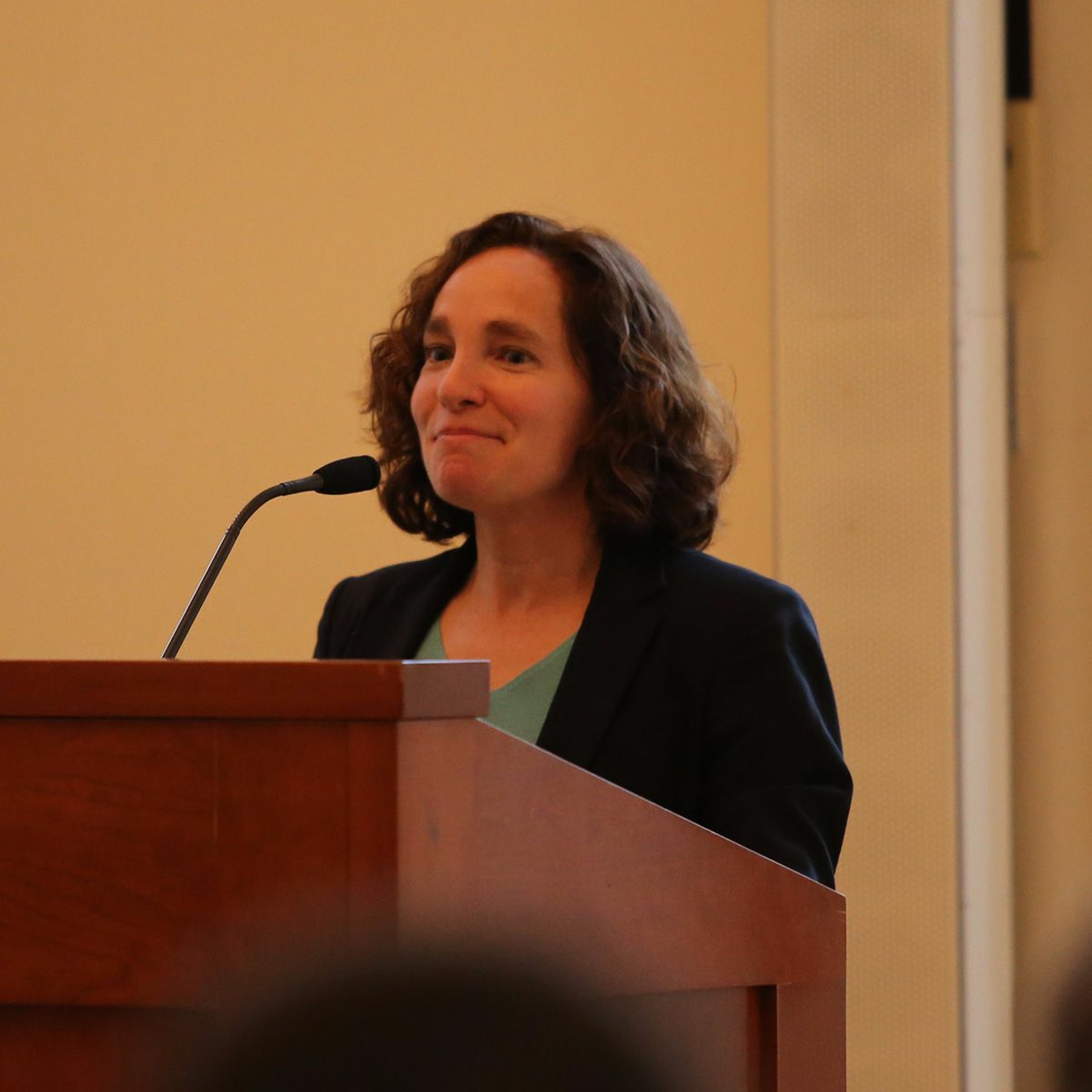 Legal History Book Panel on UVA Law Professor Risa Goluboff's "Vagrant Nation" episode artwork