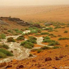 قلبي اليا جابوا ذكر نجد ..