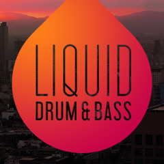 Liquid Drum & Bass netski