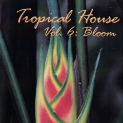 DJ Dazy - Tropical House Vol 6 - Bloom - 2000 (Vinyl)