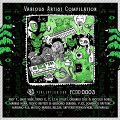 Aney F. - Something In The Room With Me (Original Mix) - Perception Dub