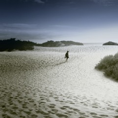 The Ornament of Solitude - Orchestral Version | Dan van den Berg