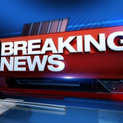 Theme for a News Report by Bruno Coriandoli