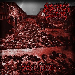 03-disgrace suicide-agonia eterna