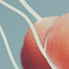 Drinking Tears From Sleeping Birds