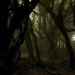 HOCUS POCUS - Myles feat. Lumby and AJ (MF Grimm - Earth Remix)