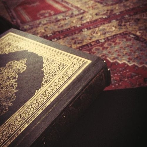 المنشاوي - وَآتَيْنَاهُ الْحِكْمَةَ وَفَصْلَ الْخِطَابِ