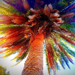 Rainbow Low Mix (15 min)