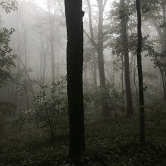 Sad Cowboy Hours Are Over