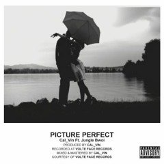 Cal Vin - Picture Perfect Feat. Jungle Bwoi (Prod. By Cal Vin)