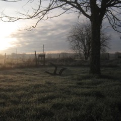 D'ici on voit les Pyrénées (démo)