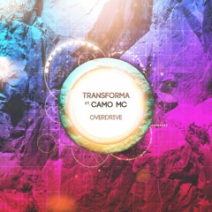 Overdrive ft Camo MC (Original mix)- [Wonk#ay records - Interrupt EP]