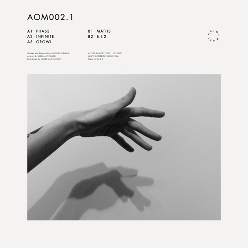 AOM002.1 B1 Nico Purman Maths