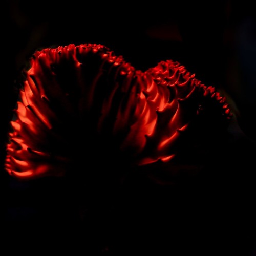 Agents Of Time - Magma