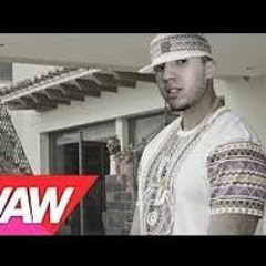 Booba - Validée (Parodie) par Panormal
