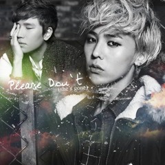 [G - Dragon  K.Will] - Please Don't... (She's Gone)