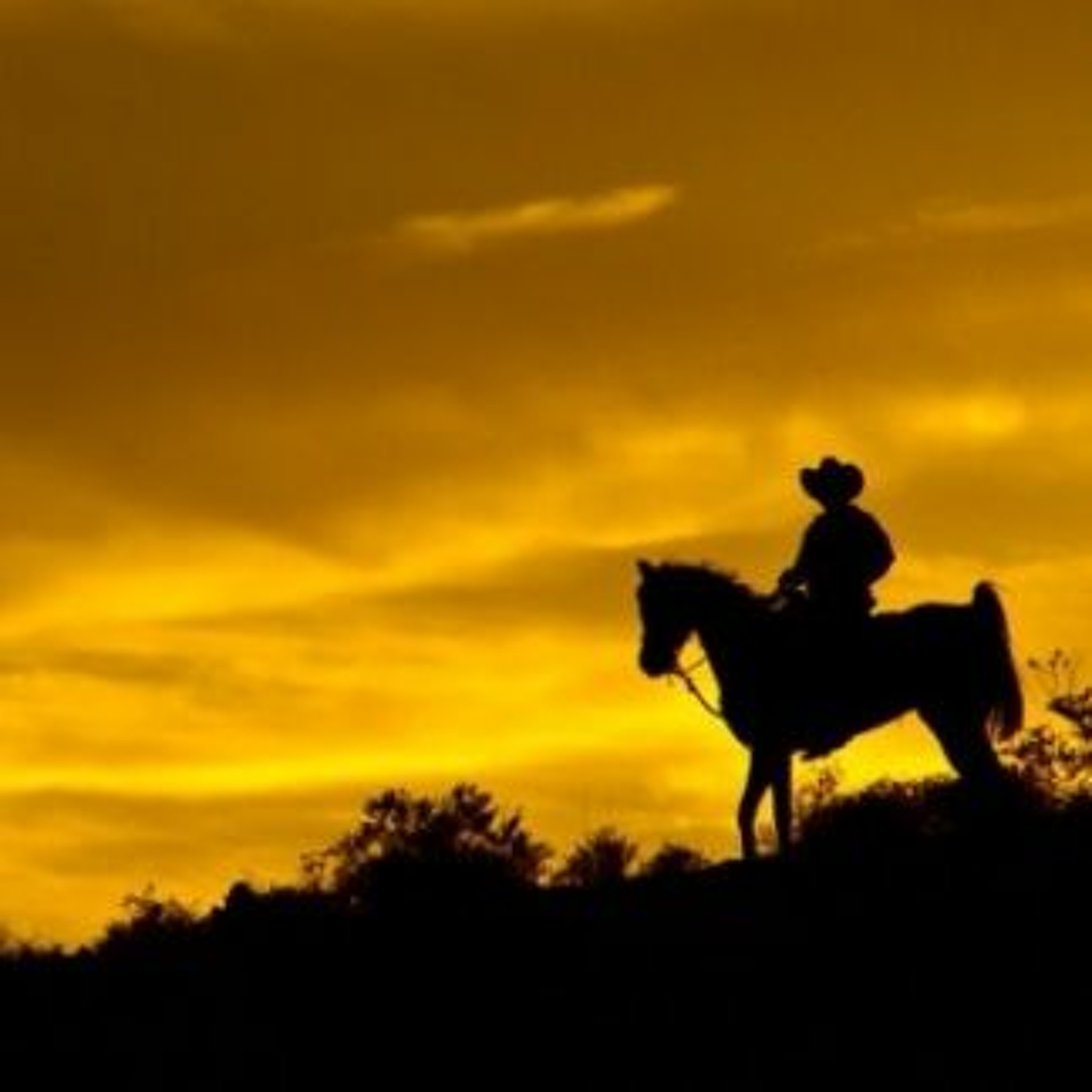 Wild Wild West episode artwork