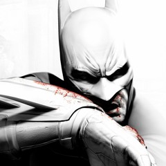 You Should Have Listened To My Warn (Batman Arkham City) 16