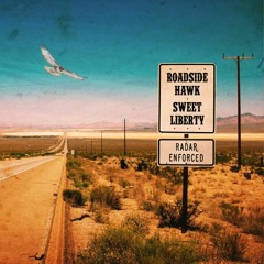 Roadside Hawk - Remain The Same