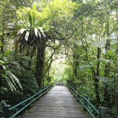 Tigapagi Tangan Hampa Kaki Telanjang