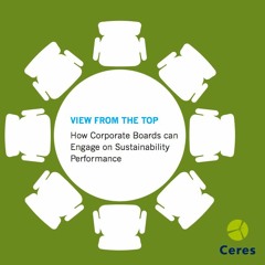 View From The Top: How Corporate Boards Engage on Sustainability Performance