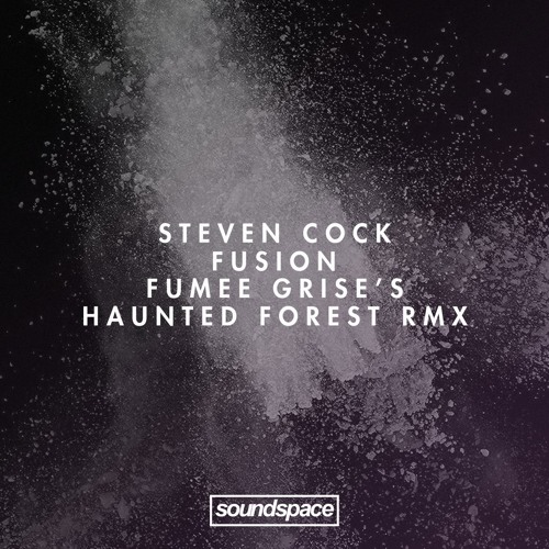 PREMIERE: Steven Cock - Fusion (fumée Grise's Haunted Forest Remix) (Made of Concrete)