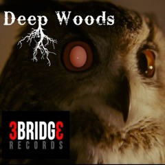 Deep Woods - InTransit 2/6/16 at TBA Brooklyn