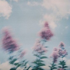 Lara Di Lara - Mevsim Bahar Olunca