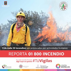 INCENDIOS FORESTALES VERSIÓN AGRICULTOR