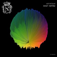 A1 - Adriatique - Soul Valley (Original Mix)- Cityfox [CF026]