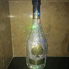 ACE FT INDY 500,ANGEL AND OSKI