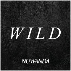 Wild (Original Mix)