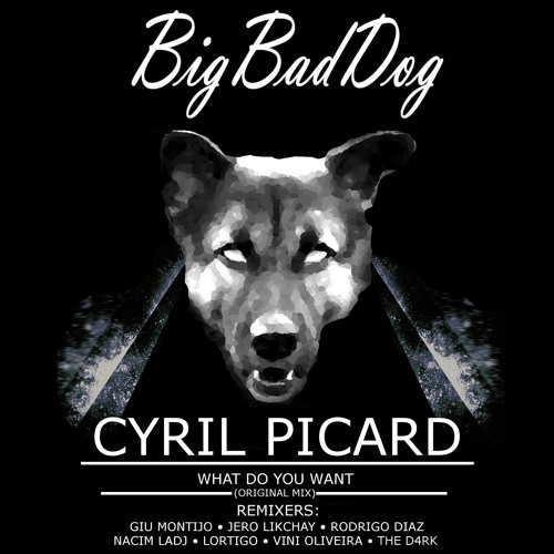 Cyril Picard - What do you want(Original mix)#★20 TOP 100 MINIMAL track on Beatport