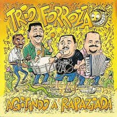 Trio Forrózão - Ja Que Ta Gostoso Deixa