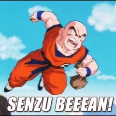 Senzu Beeean!